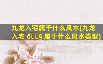 九龙入宅属于什么风水(九龙入宅 🐧 属于什么风水类型)